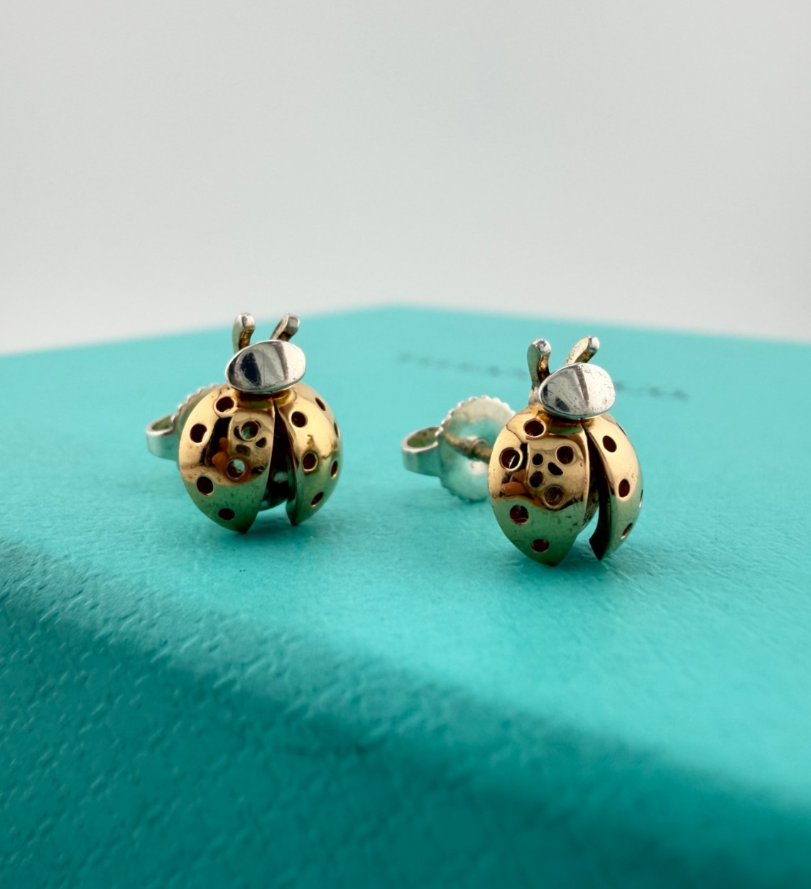 47859692