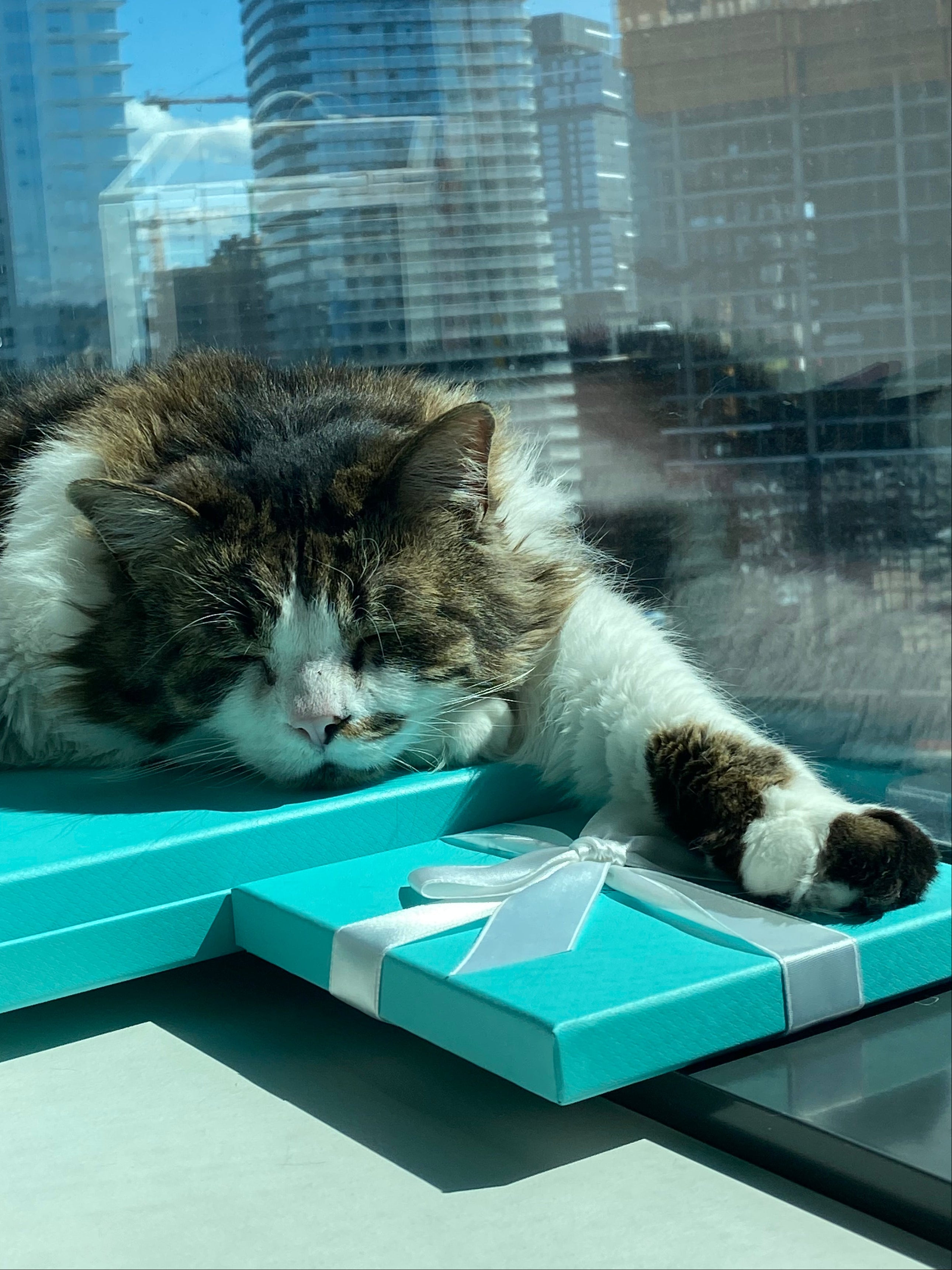 The Archive — Authenticated Pre-Owned Tiffany & Co.